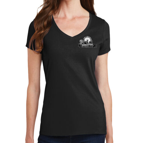 Women's V-Neck Tee (One Color Design 2) Thumbnail